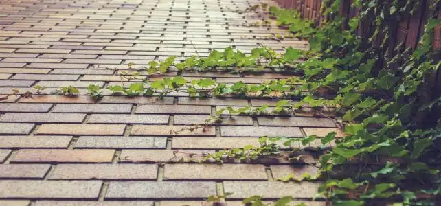 Maîtrisez la pose des pavés béton carrossables